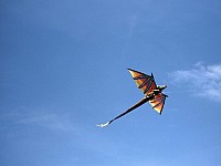 2008 KiteFestival-004.jpg